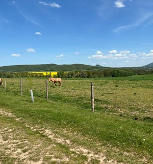 The farm is located on the road from Levin to Ustek