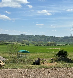 Around Levin, there are many small agricultural farms